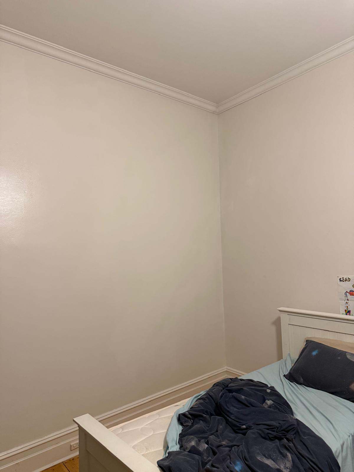 What Makes a Professional House Painter in Norwood